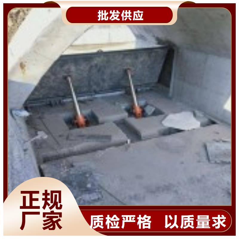 翻板闸门钢制闸门真材实料