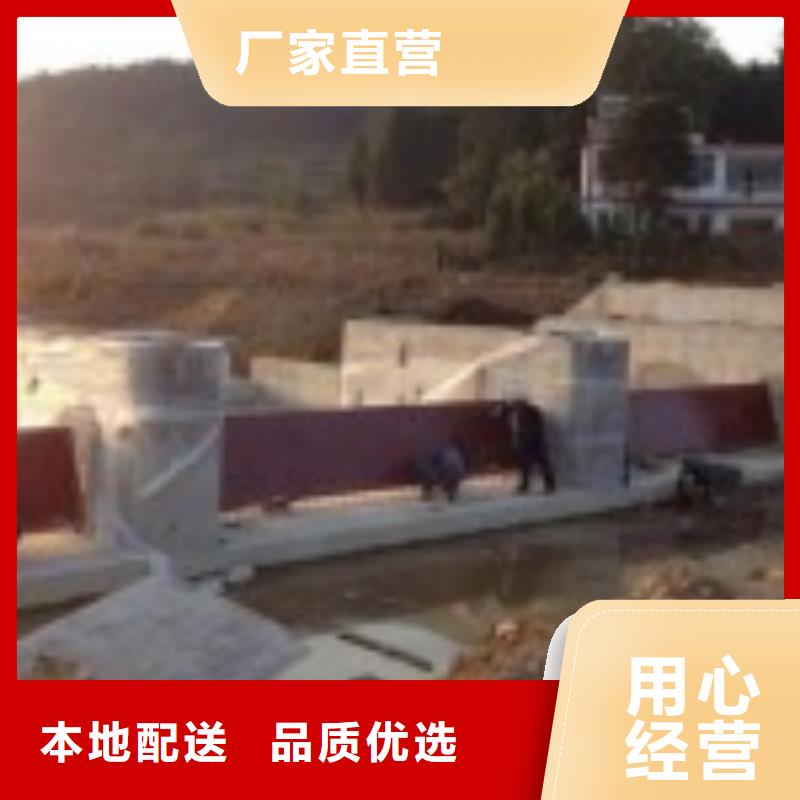 【翻板闸门 钢制拍门专注细节专注品质】