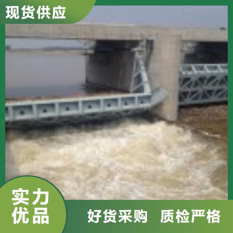 翻板闸门卷扬启闭机厂家真材实料