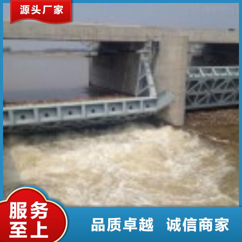 【翻板闸门铸铁闸门一手货源】