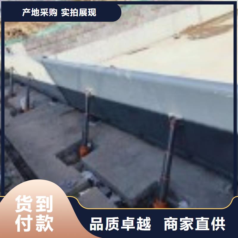 翻板闸门卓越品质保障