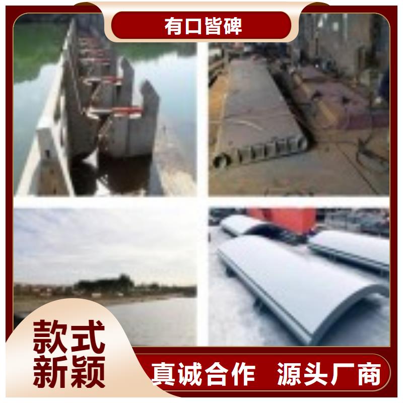  翻板闸门多年行业经验