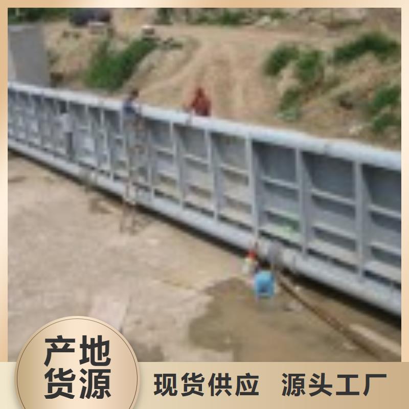 翻板闸门_【拦污栅】专注品质