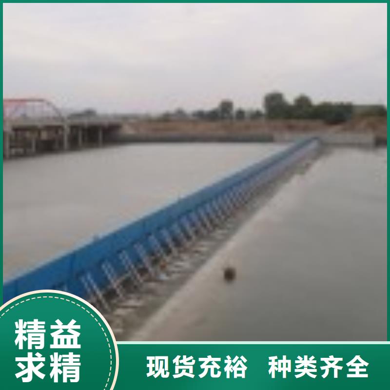 翻板闸门_【齿耙式清污机】好品质经得住考验