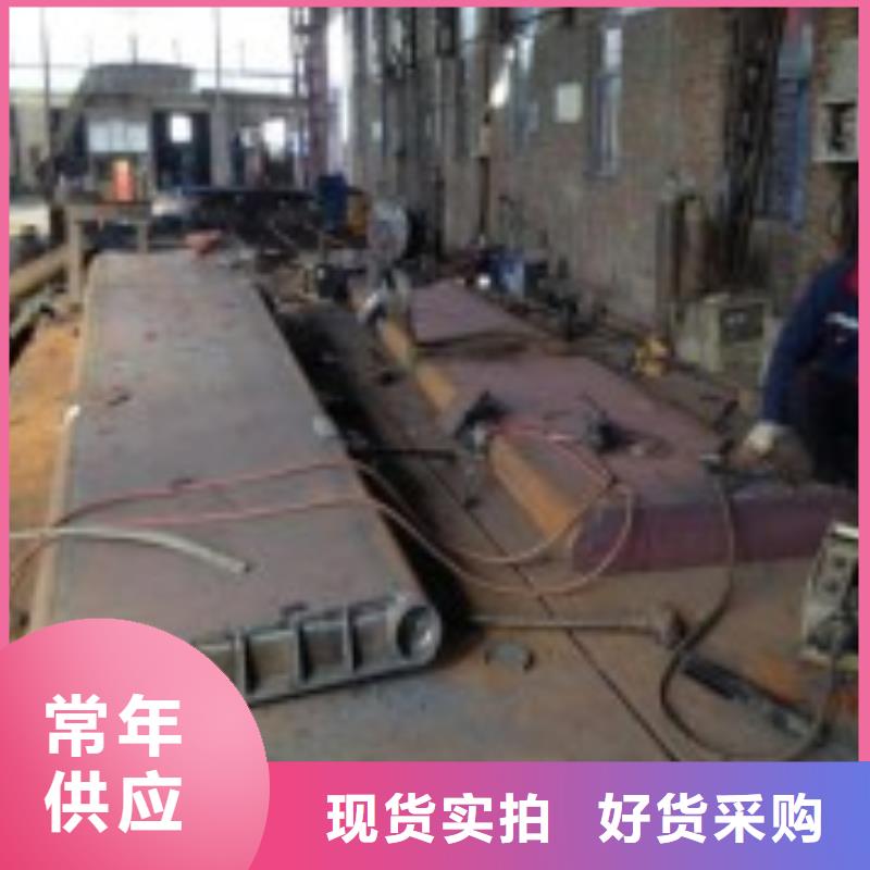 【翻板闸门 钢制拍门专注细节专注品质】