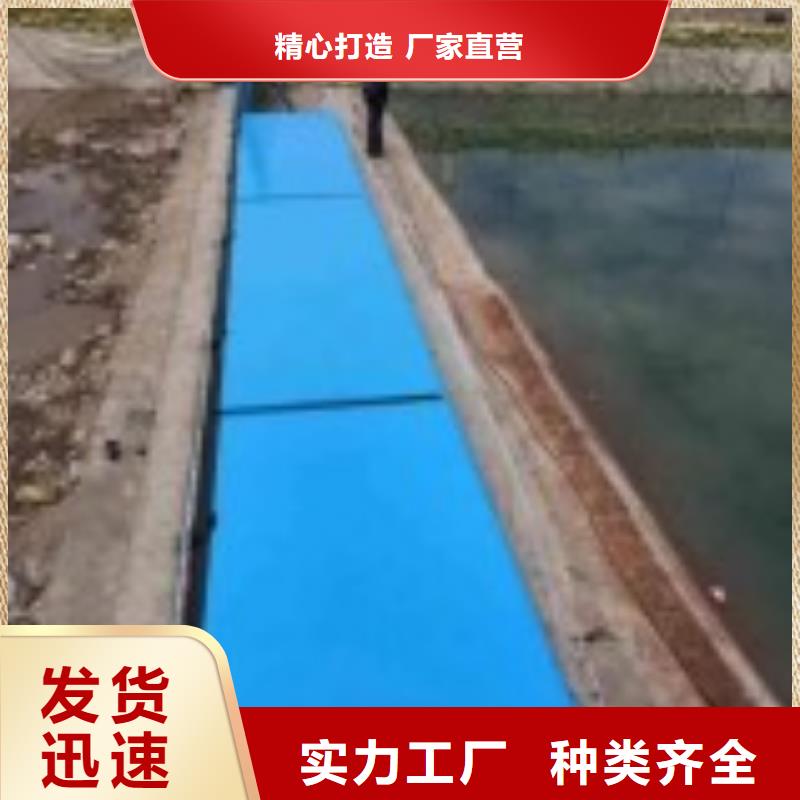 翻板闸门,【钢制拍门】专注生产制造多年