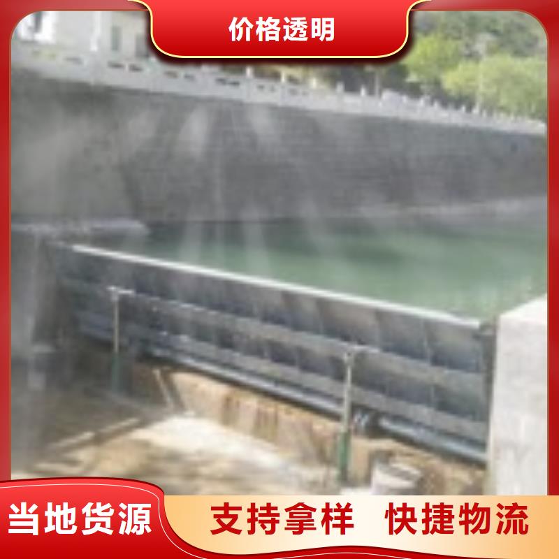 翻板闸门钢制闸门多年行业经验