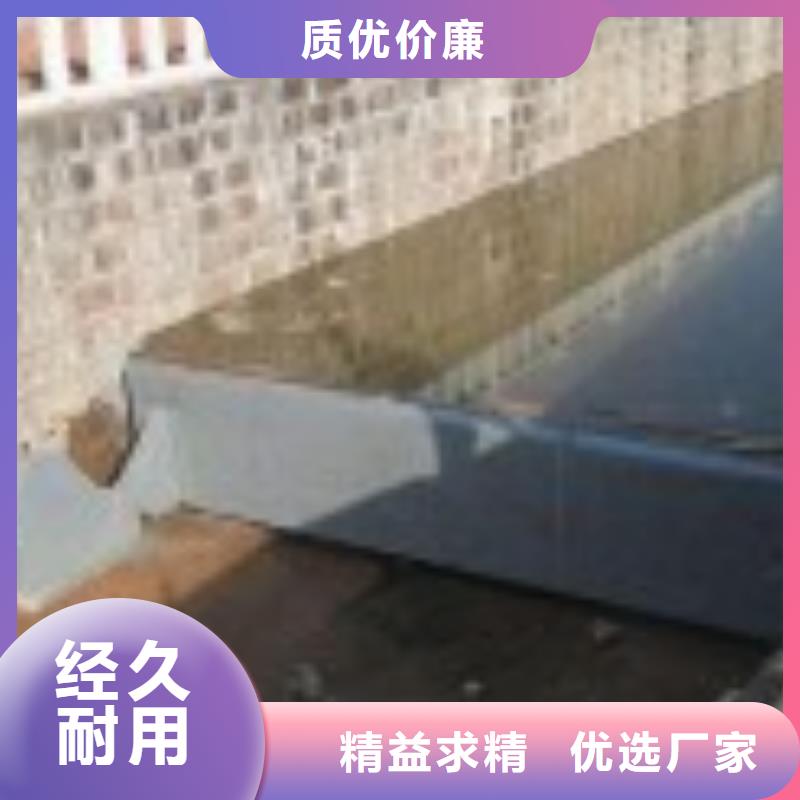 翻板闸门拦污栅卓越品质保障