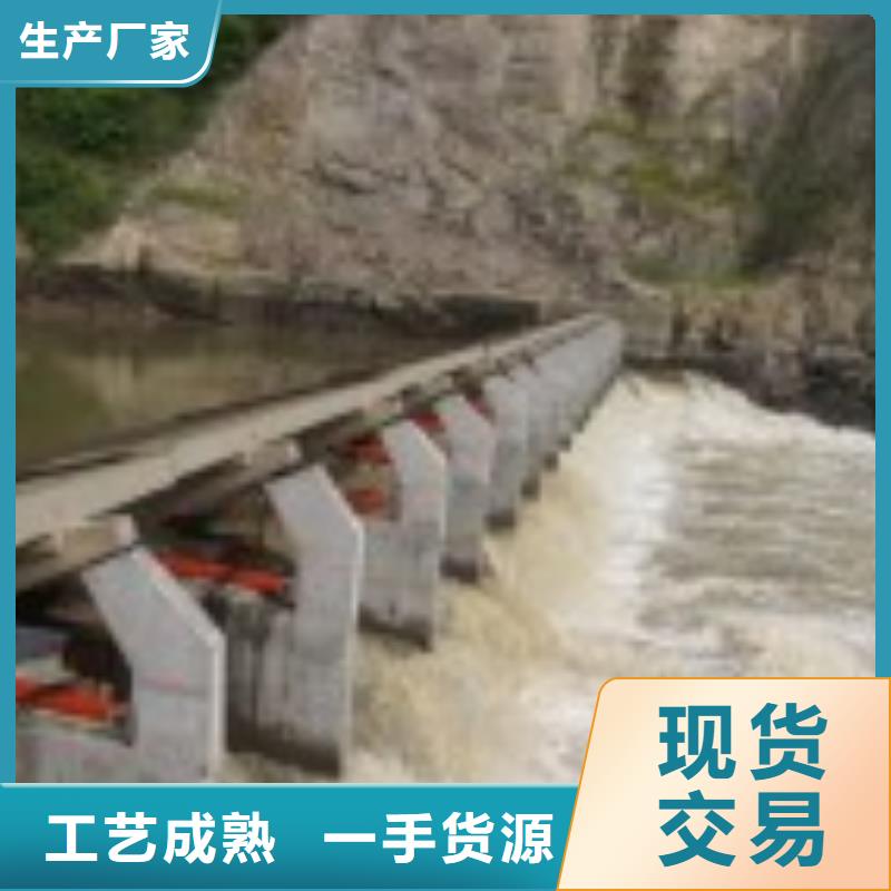 翻板闸门,【机闸一体式闸门】材质实在
