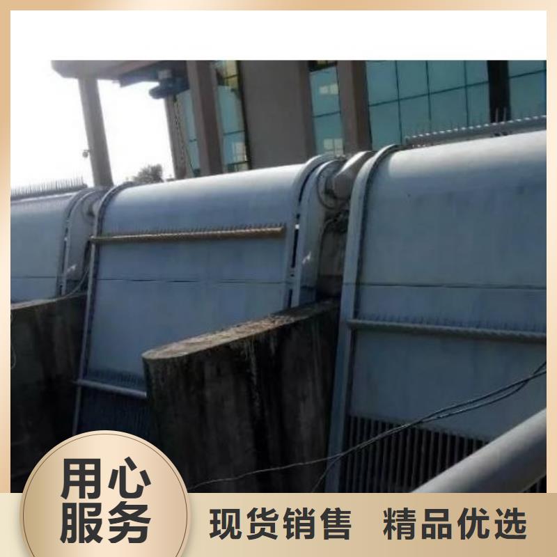 【清污机球墨铸铁闸门做工精细】
