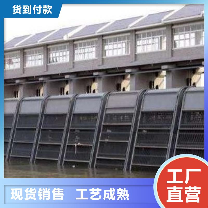 【清污机球墨铸铁闸门厂家品质信得过】
