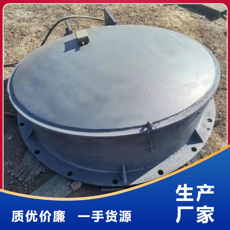 【拍门,不锈钢闸门直销厂家】