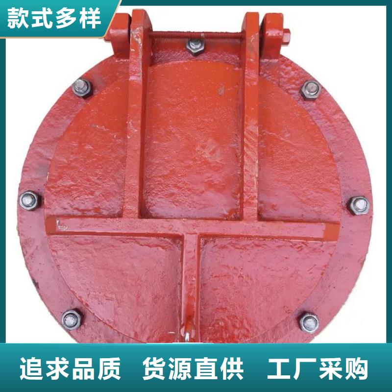 拍门 钢制拍门厂家为您精心挑选