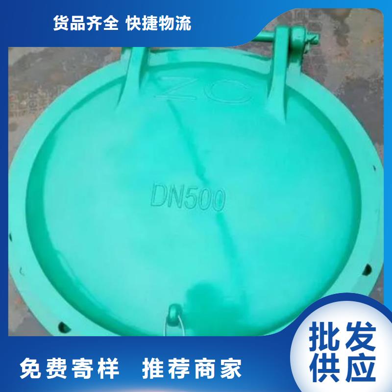 拍门_螺杆启闭机用心服务