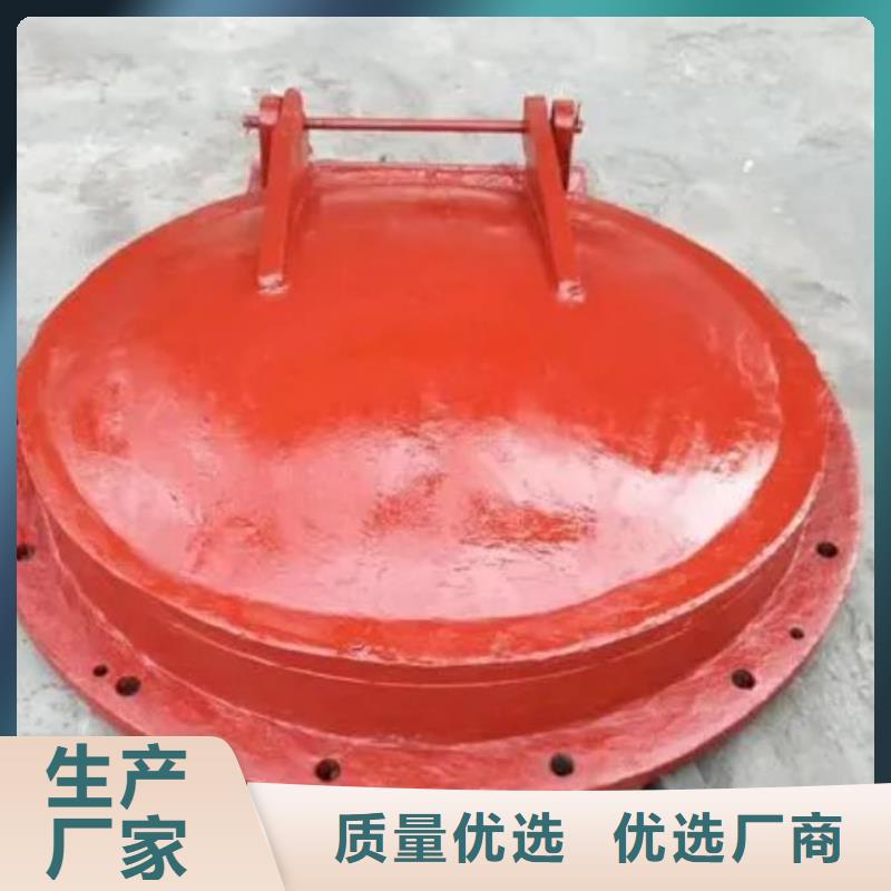 拍门钢坝闸门多年行业经验