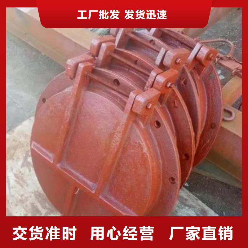 拍门 暗杆式启闭机现货齐全售后无忧
