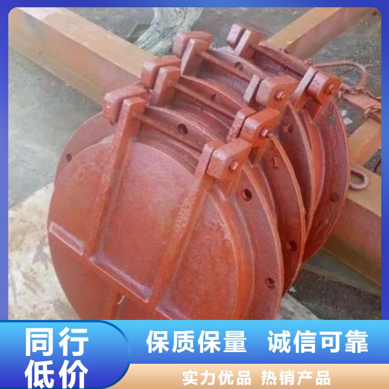 拍门钢制拍门销售的是诚信