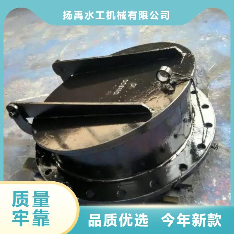 拍门,球墨铸铁闸门厂家为您精心挑选