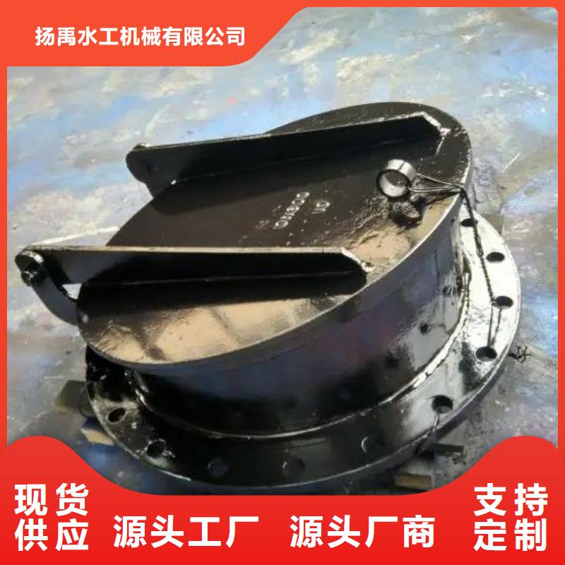 拍门铸铁闸门现货