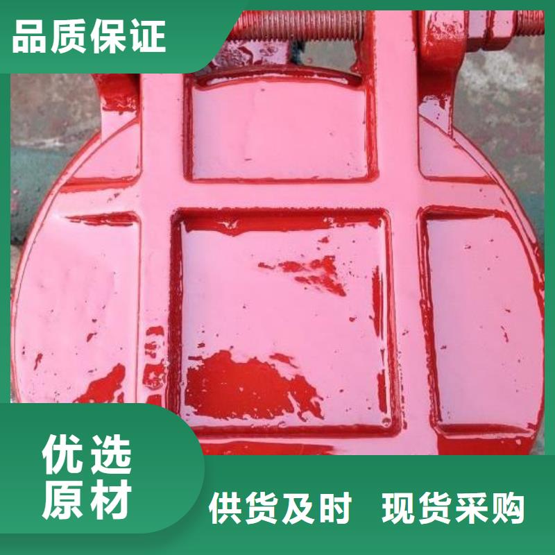 拍门铸铁闸门产地厂家直销