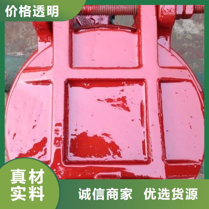 拍门卷扬启闭机厂家现货充足