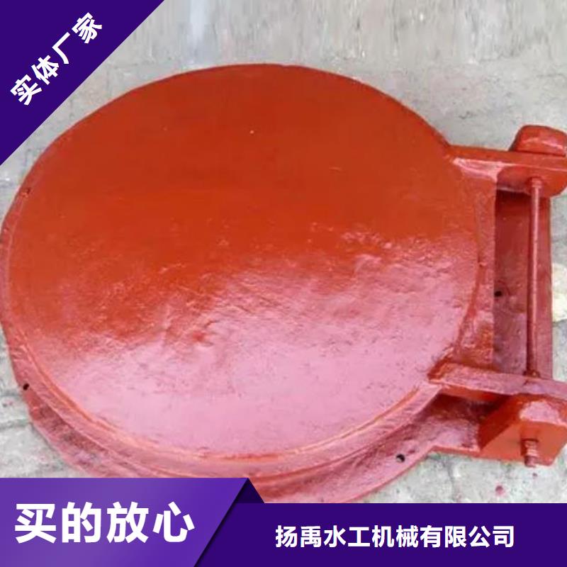拍门拦污栅货源足质量好