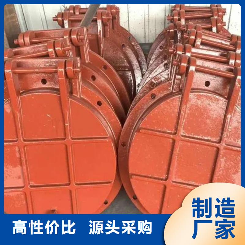 拍门,回转式清污机今日价格
