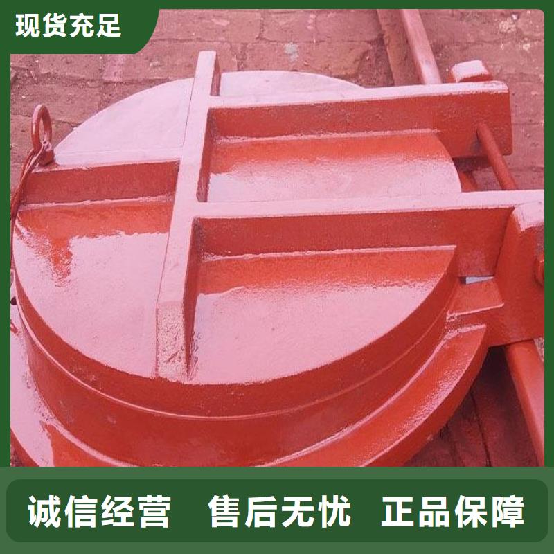 拍门钢坝闸门多年行业经验