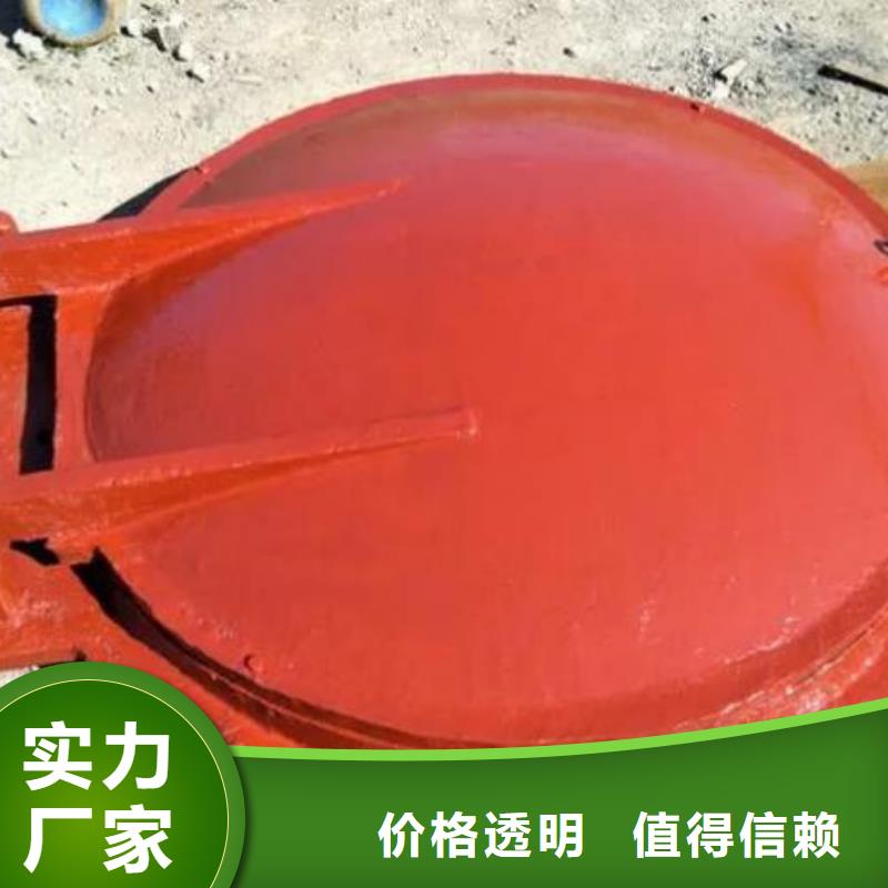【拍门铸铁闸门用心制作】