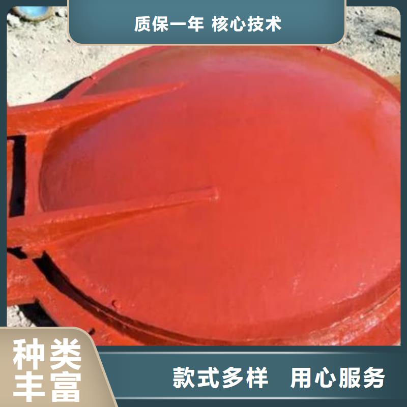 拍门,回转式清污机今日价格