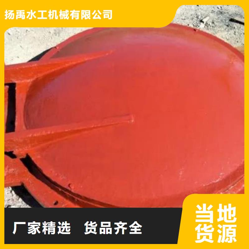 【拍门铸铁闸门不断创新】