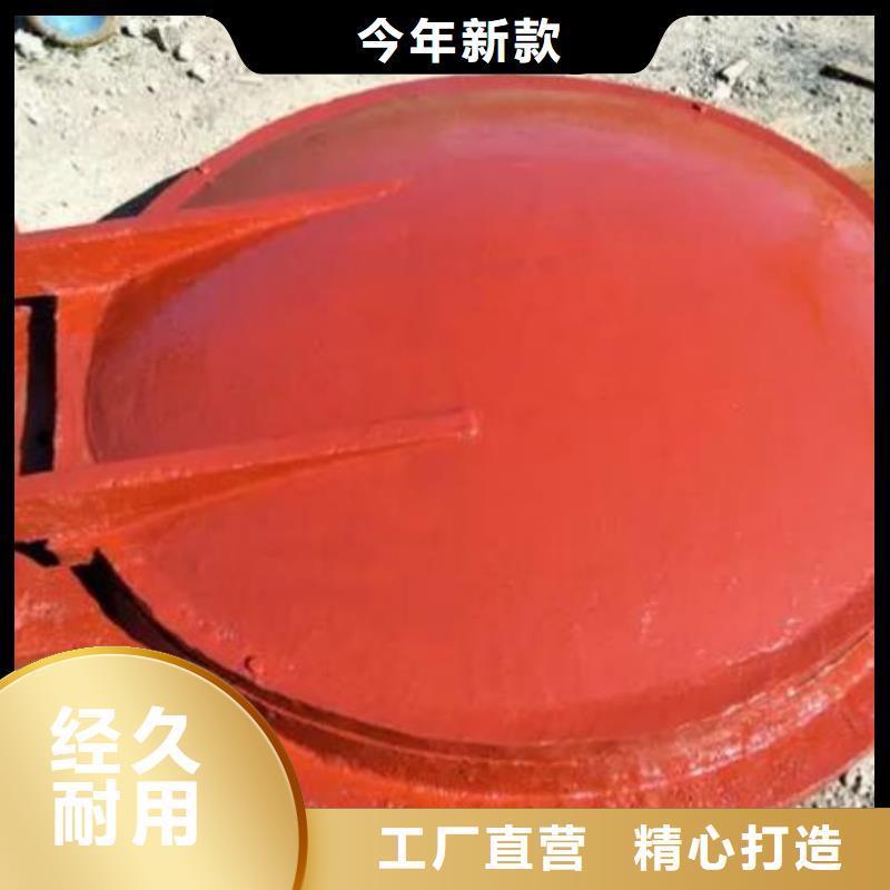 拍门-平板钢闸门严选材质