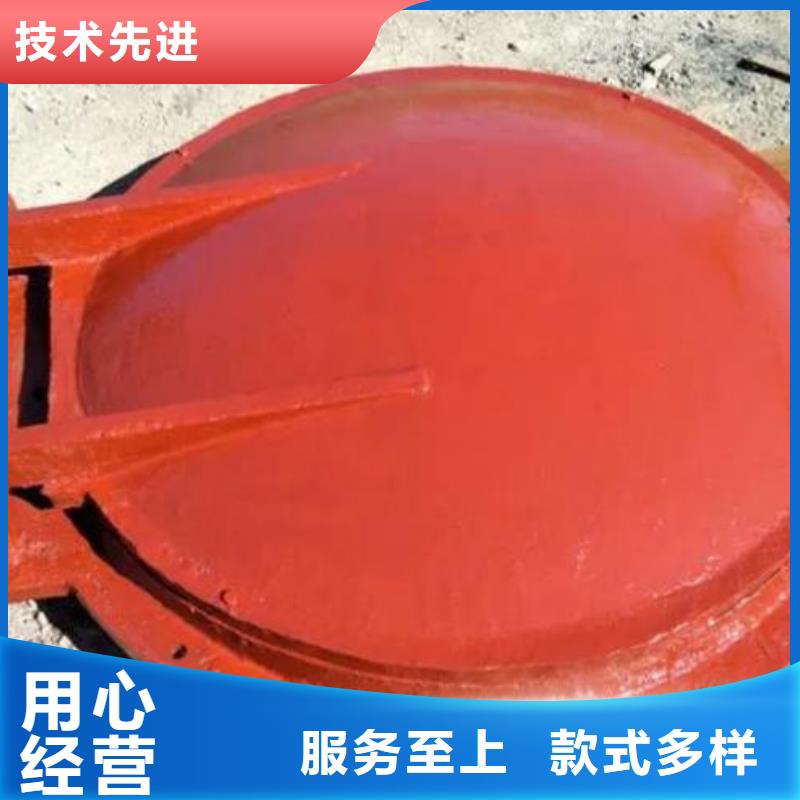 拍门卷扬启闭机懂您所需