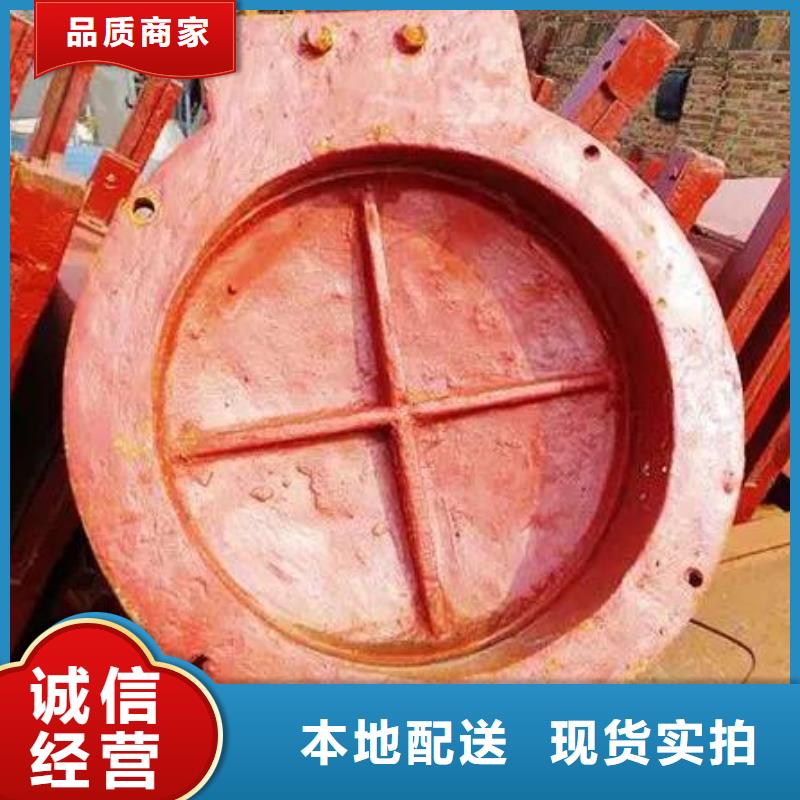 拍门,卷扬启闭机实力商家供货稳定