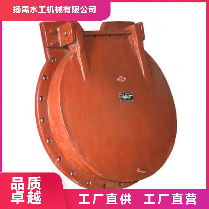 拍门【铸铁闸门】行业优选