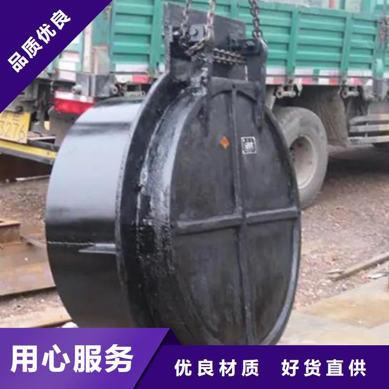 拍门【球墨铸铁闸门】现货满足大量采购