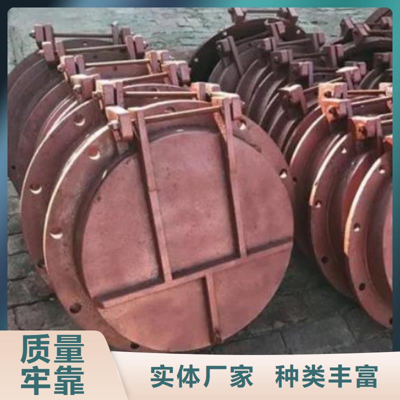 【拍门,铸铁闸门品质好才是硬道理】
