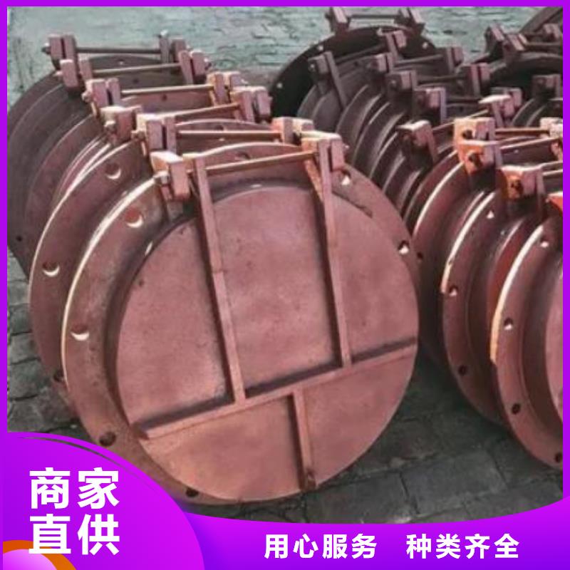 拍门_钢坝闸门快速物流发货