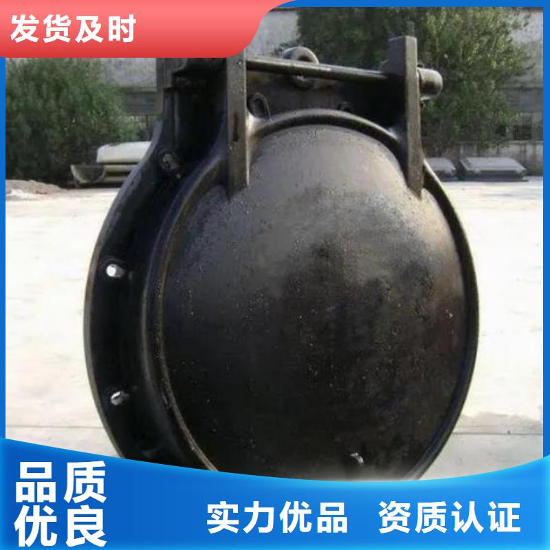 拍门钢坝闸门贴心服务