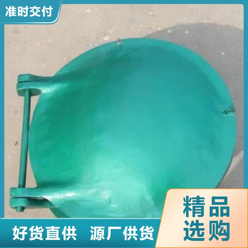 拍门拦污栅货源足质量好
