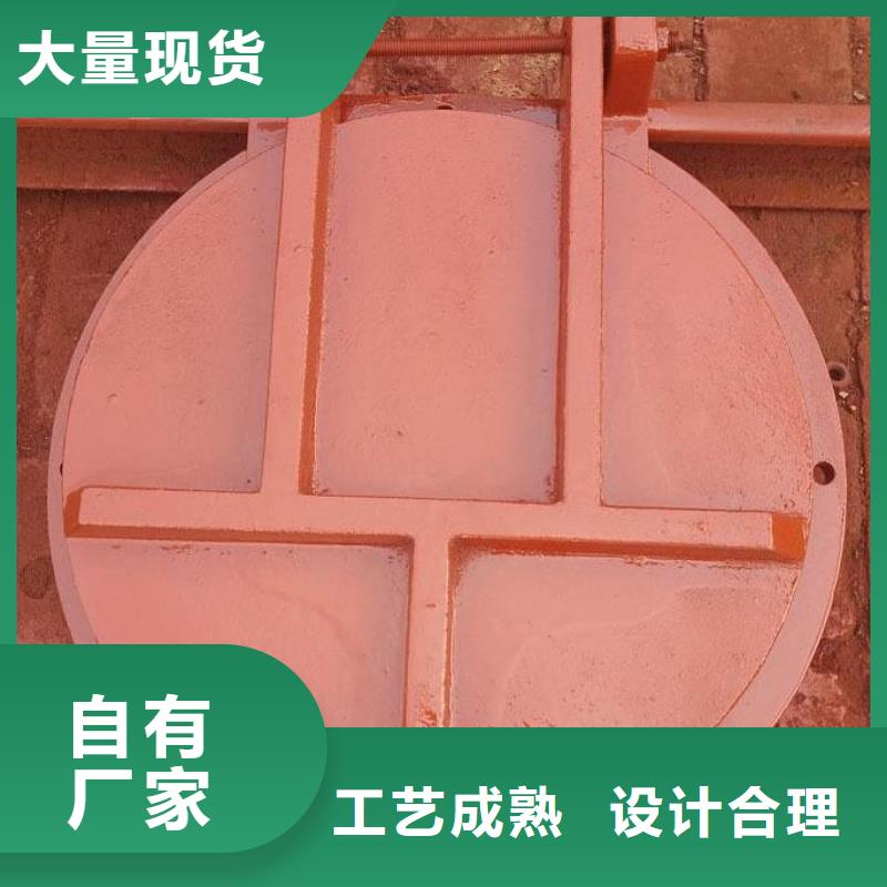 拍门-平板钢闸门严选材质