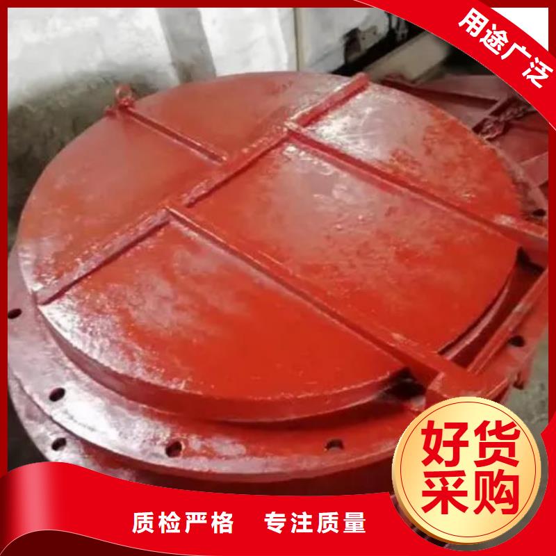 拍门卷扬启闭机厂家追求品质