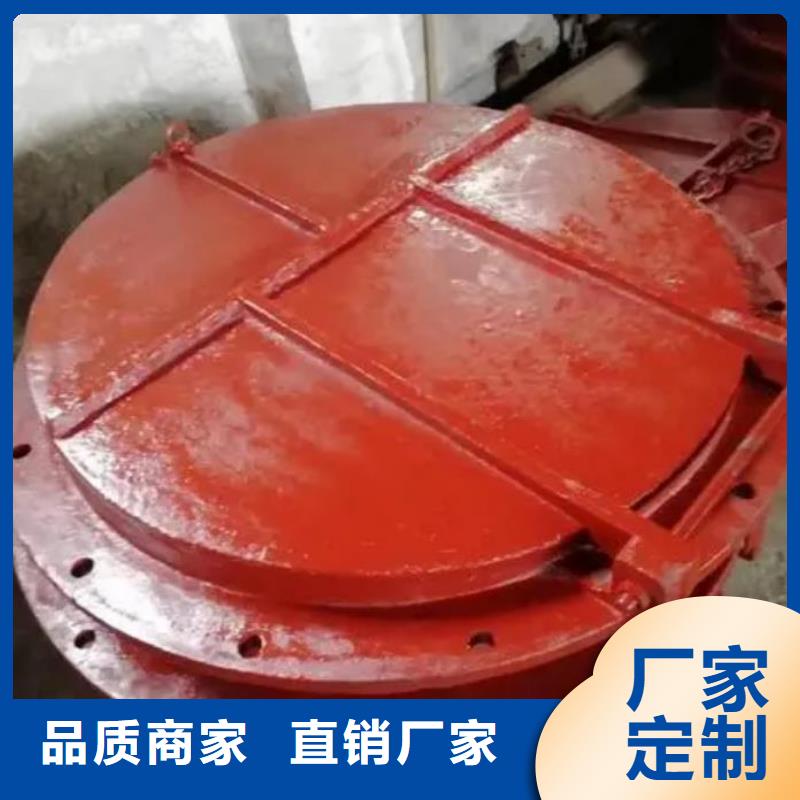 拍门,球墨铸铁闸门厂家为您精心挑选