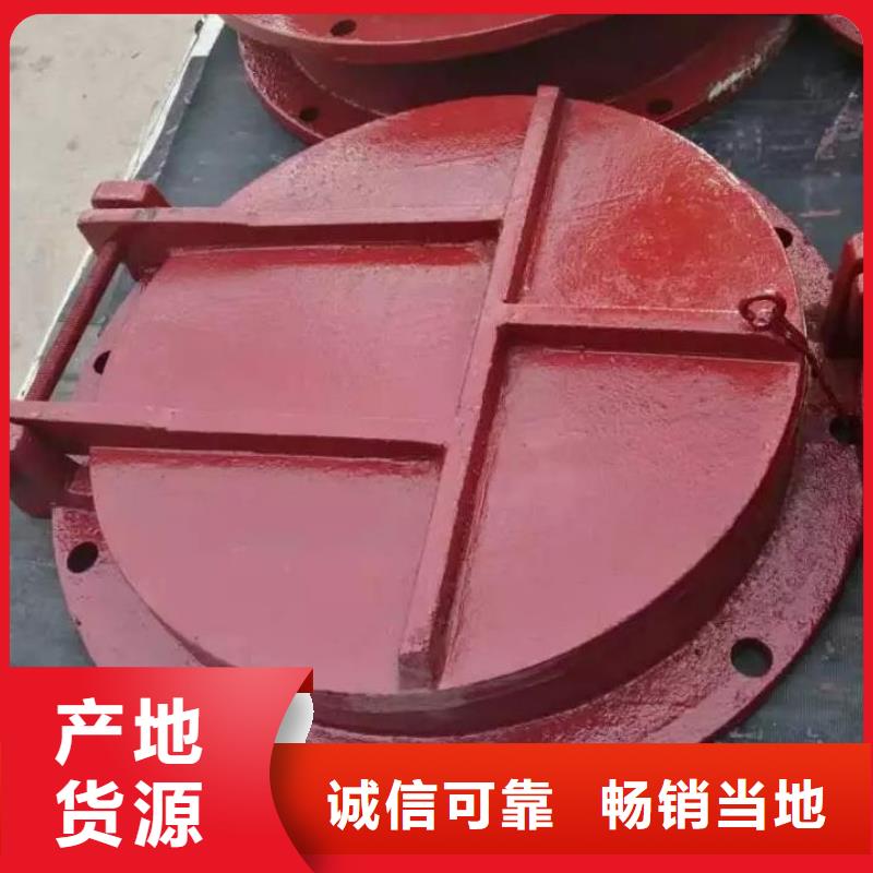 拍门泵站铸铁闸门质量检测
