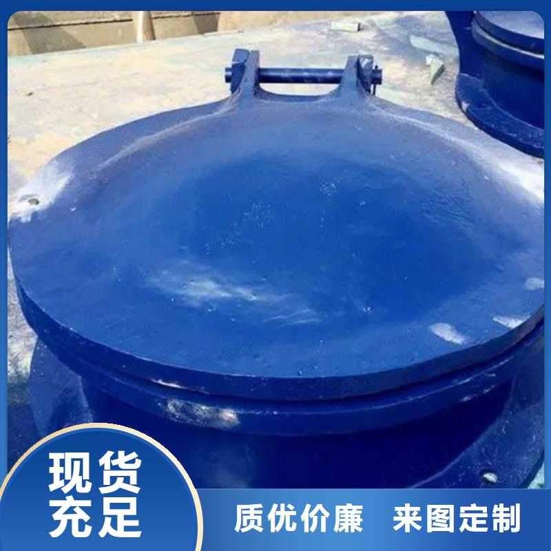 拍门铸铁闸门厂家专业完善售后