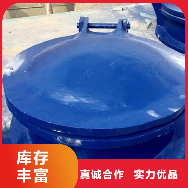 拍门_卷扬启闭机厂家货源直销