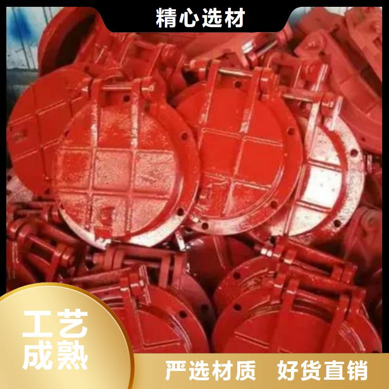 拍门手摇卷扬启闭机随心所欲定制