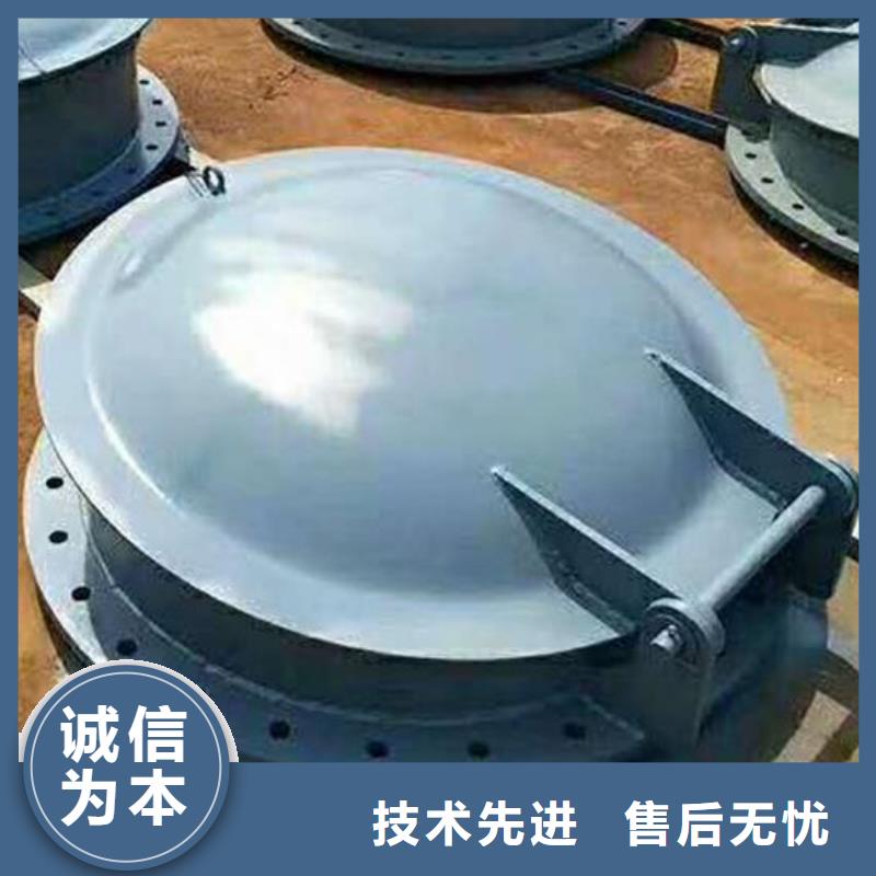 【拍门】卷扬启闭机厂家价格合理