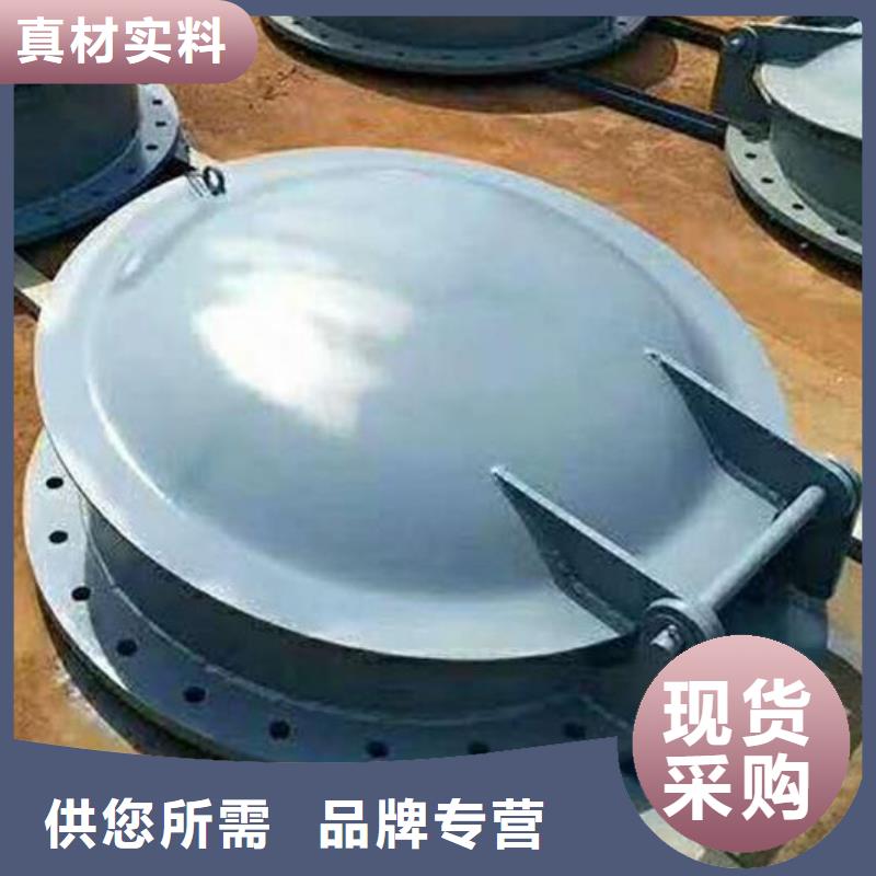 拍门钢制闸门用心做品质