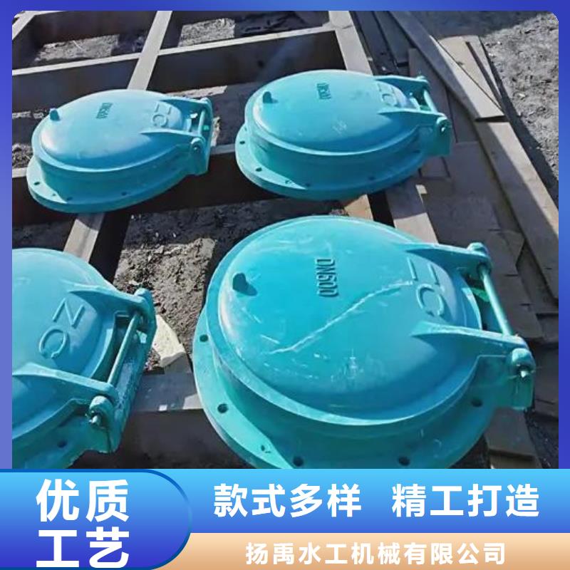【拍门,不锈钢闸门直销厂家】
